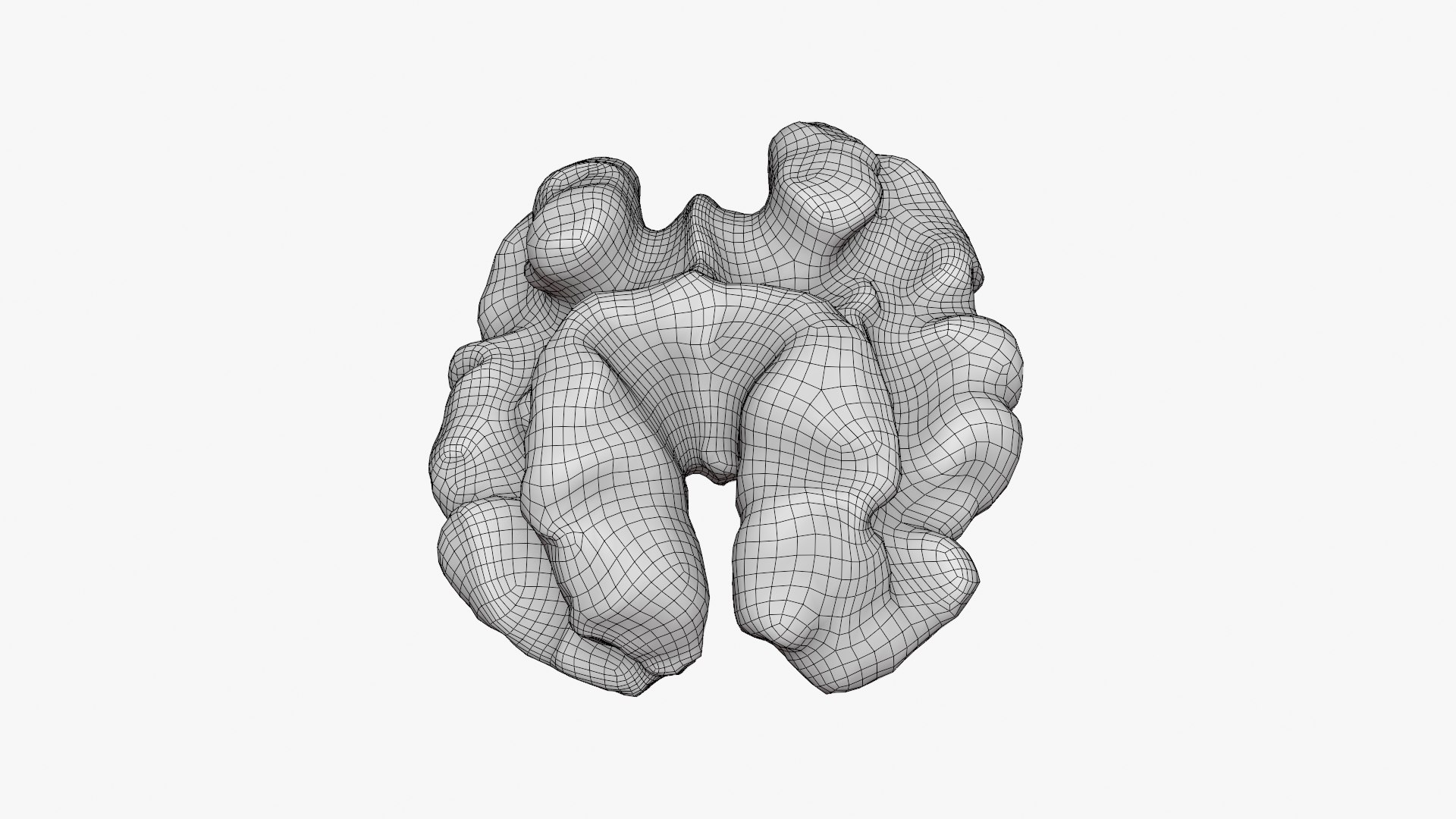 Walnut 01 - 3D Scanned 3D model https://p.turbosquid.com/ts-thumb/Px/rhJntW/qU/walnut01_d000/png/1772025478/1920x1080/fit_q87/577ac67f0a3ef91b269f69b70ddb44aba116a924/walnut01_d000.jpg