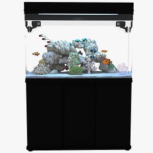 Marine Aquarium 02