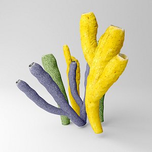 3D Tube sponge