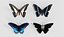 Butterfly 4 pack
