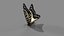 Butterfly 4 pack