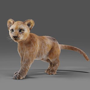 3D Fur Baby Lion Rigged and Animated in Blender