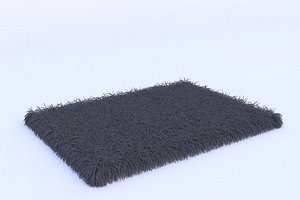 rug carpet