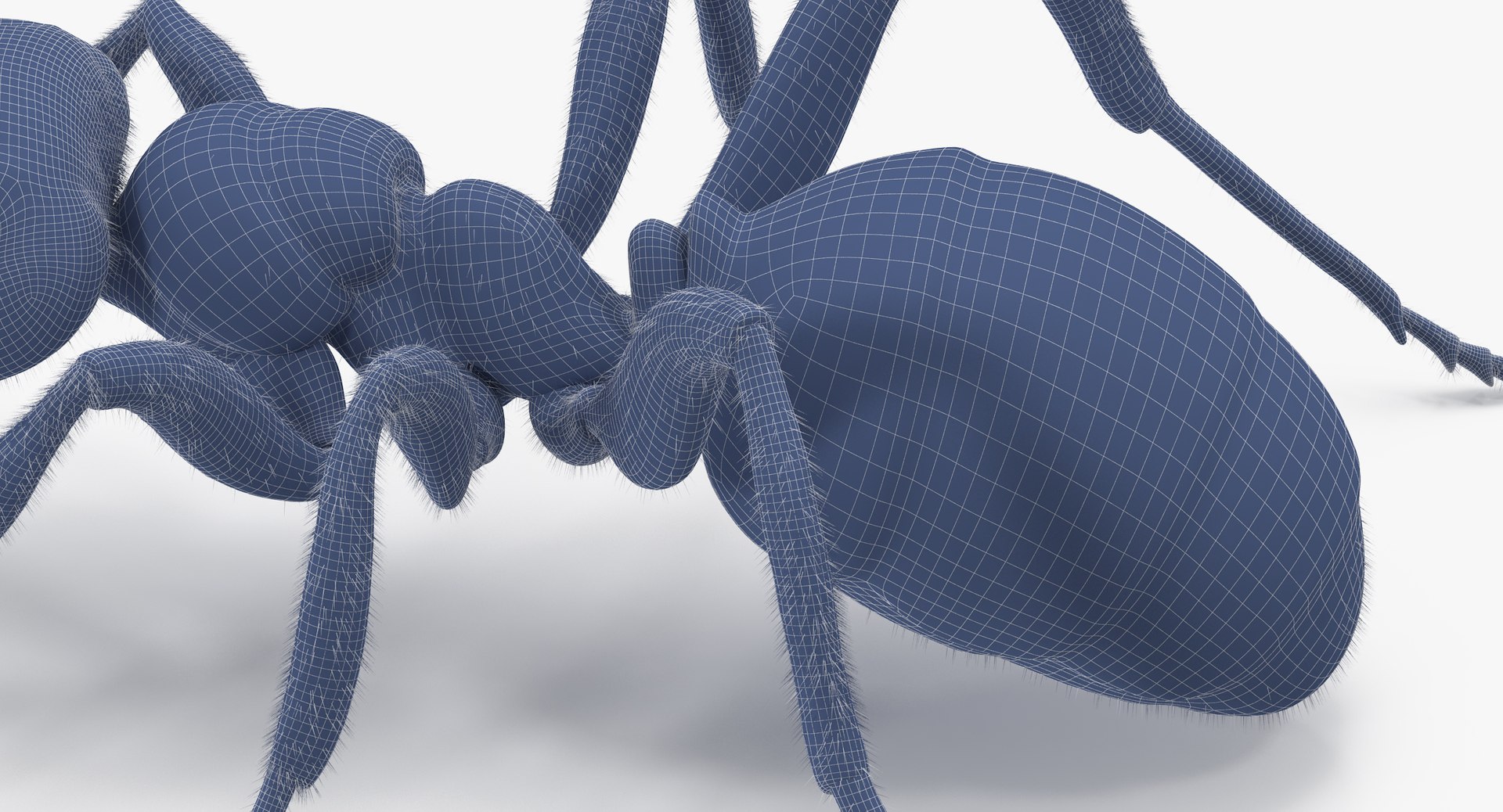 ant 05 obj https://p.turbosquid.com/ts-thumb/Py/XGxCzI/baEPNxCz/ant_05_wireframe_0012/jpg/1452156609/1920x1080/fit_q87/c5539edb4eef85cbff6b60cb3e2b079213bdab3a/ant_05_wireframe_0012.jpg