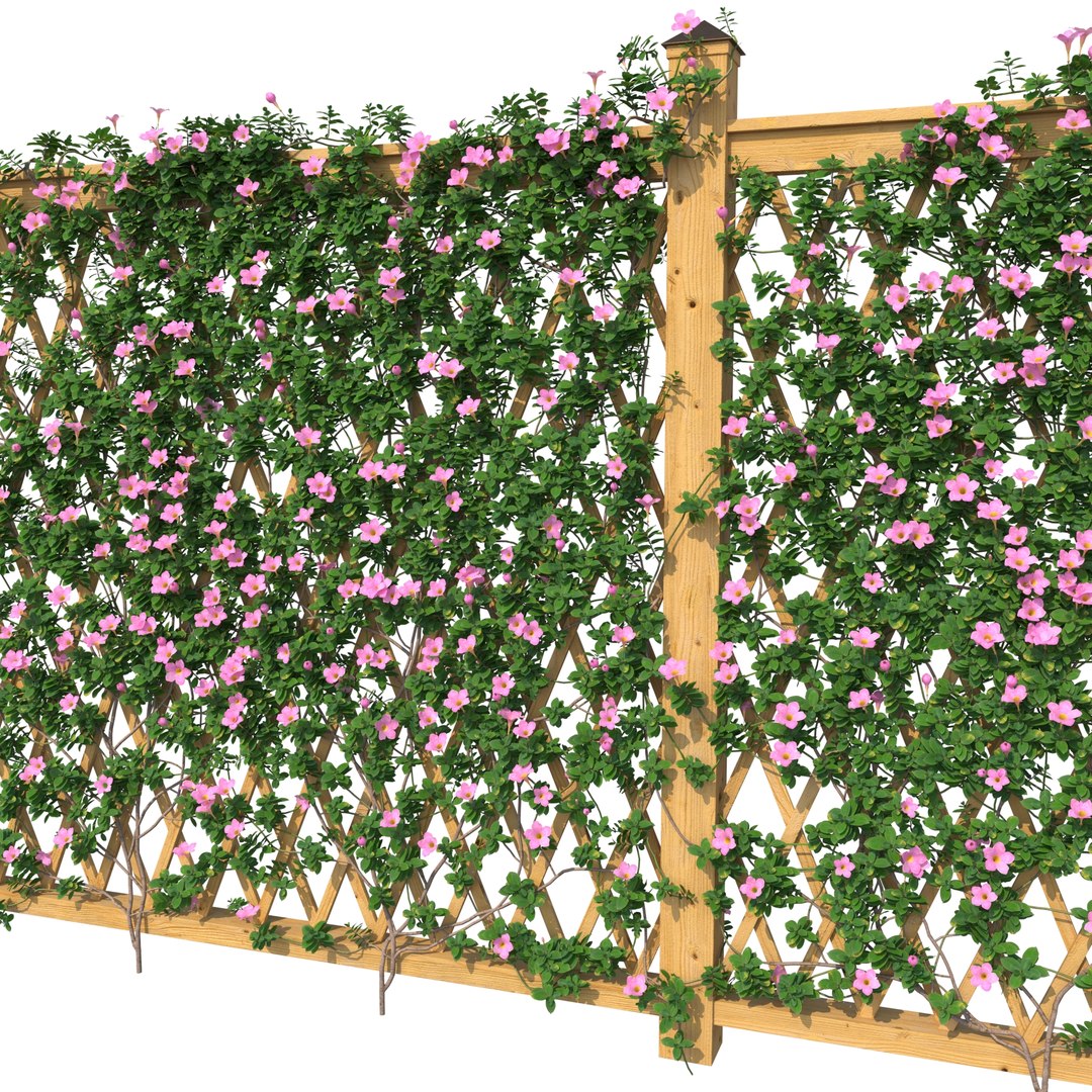 3D Fence - Mandevilla Sanderi with flowers https://p.turbosquid.com/ts-thumb/Py/dI7aGH/8V/rend_2/jpg/1635939934/1920x1080/fit_q87/b35560365c7e1b963819585069854dff75e79ecc/rend_2.jpg