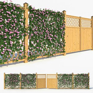 3D Fence - Mandevilla Sanderi with flowers
