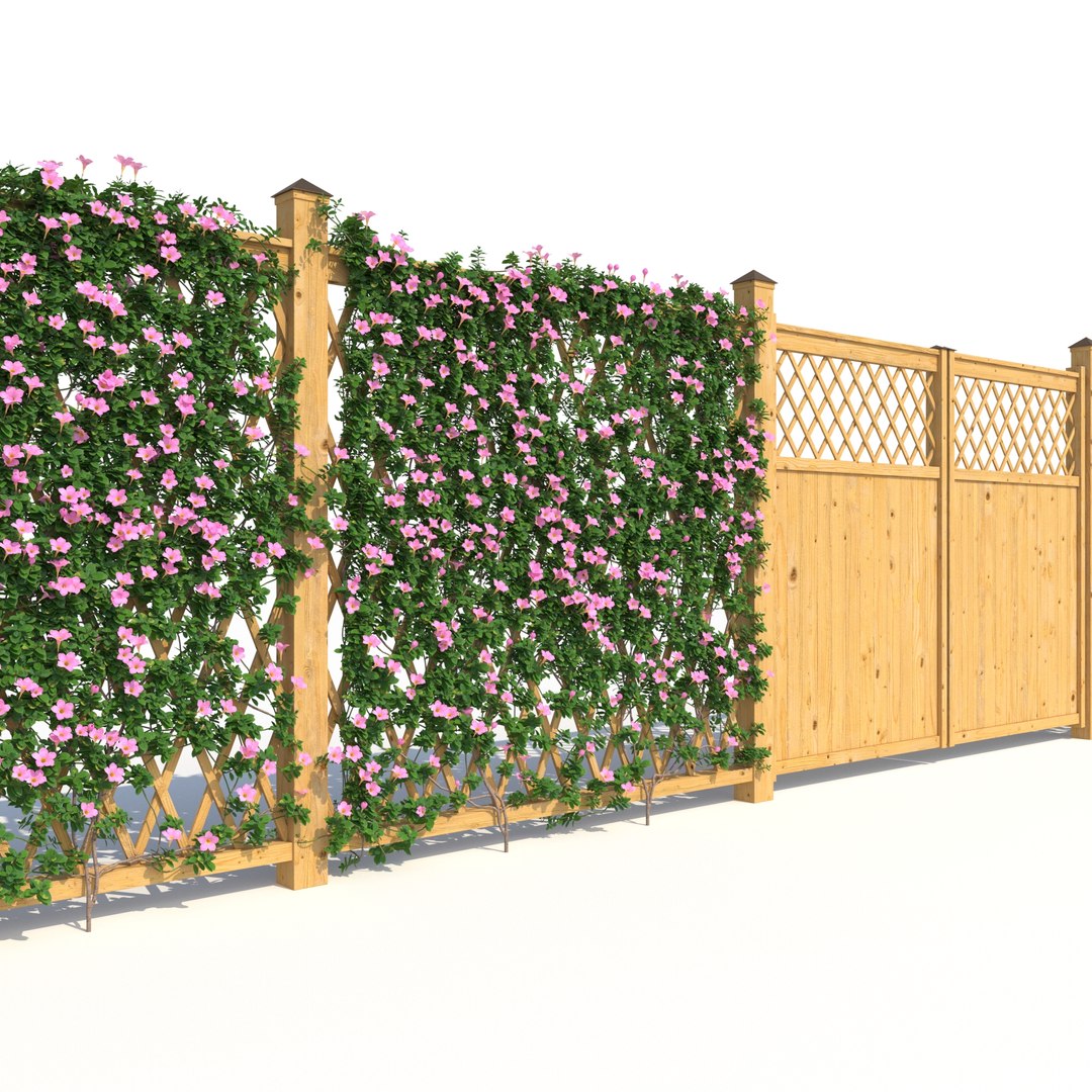 3D Fence - Mandevilla Sanderi with flowers https://p.turbosquid.com/ts-thumb/Py/dI7aGH/Sp/rend_3/jpg/1635939940/1920x1080/fit_q87/7d63ba59e14faf5c90413747b7d705a8770ed667/rend_3.jpg