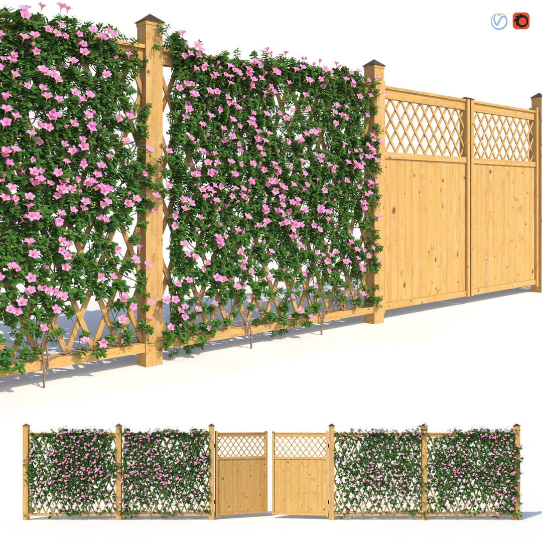 3D Fence - Mandevilla Sanderi with flowers https://p.turbosquid.com/ts-thumb/Py/dI7aGH/hb/preview/jpg/1635939924/1920x1080/fit_q87/703f3860a547dc421807c0486bba8c93ae5c0229/preview.jpg