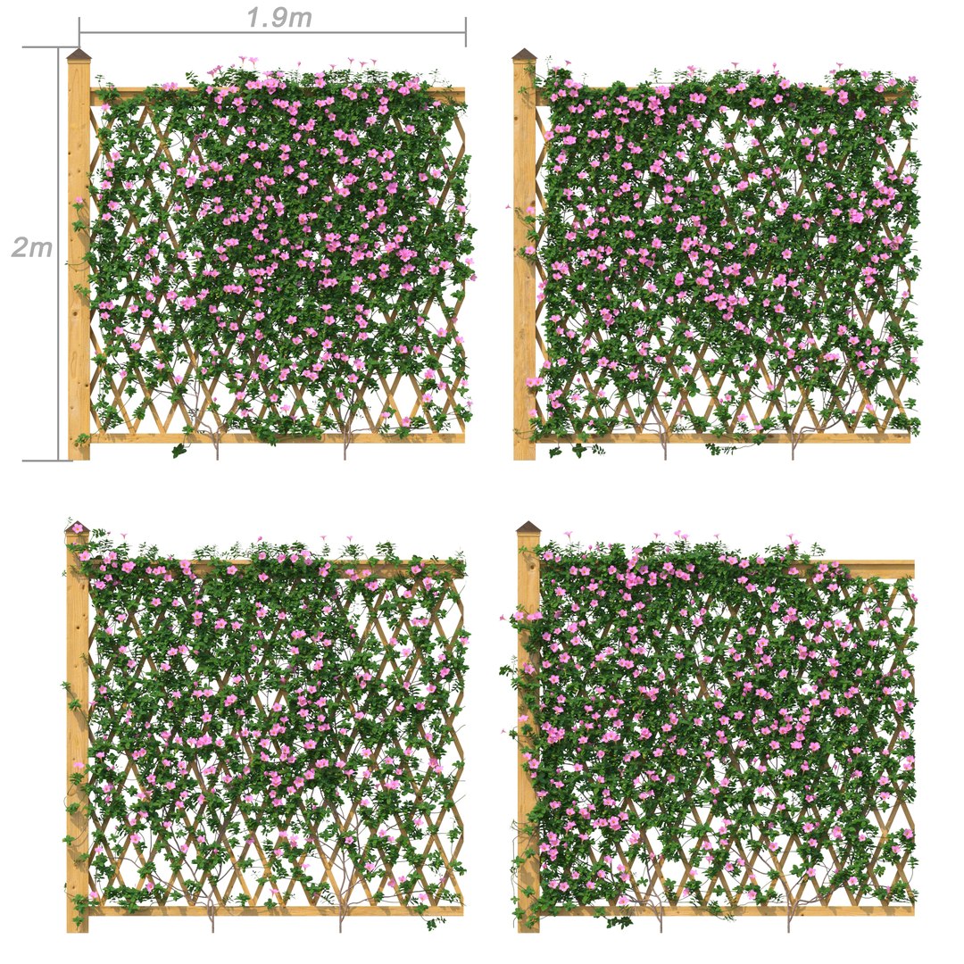 3D Fence - Mandevilla Sanderi with flowers https://p.turbosquid.com/ts-thumb/Py/dI7aGH/xR/rend_4/jpg/1635939932/1920x1080/fit_q87/ff4d8aa5416732d7702f4da1122415fd729edfd5/rend_4.jpg