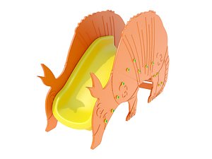 PLAYGROUND ESCORREGADOR TATU ZOO SPEED KIDS