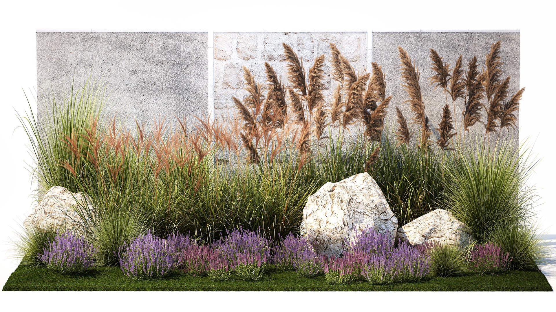 3D Garden Flowers Lavender Pampas Grass Miscanthus 1397 Model ...