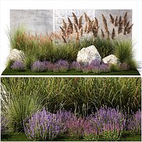 Garden Flowers Lavender Pampas Grass Miscanthus 1397