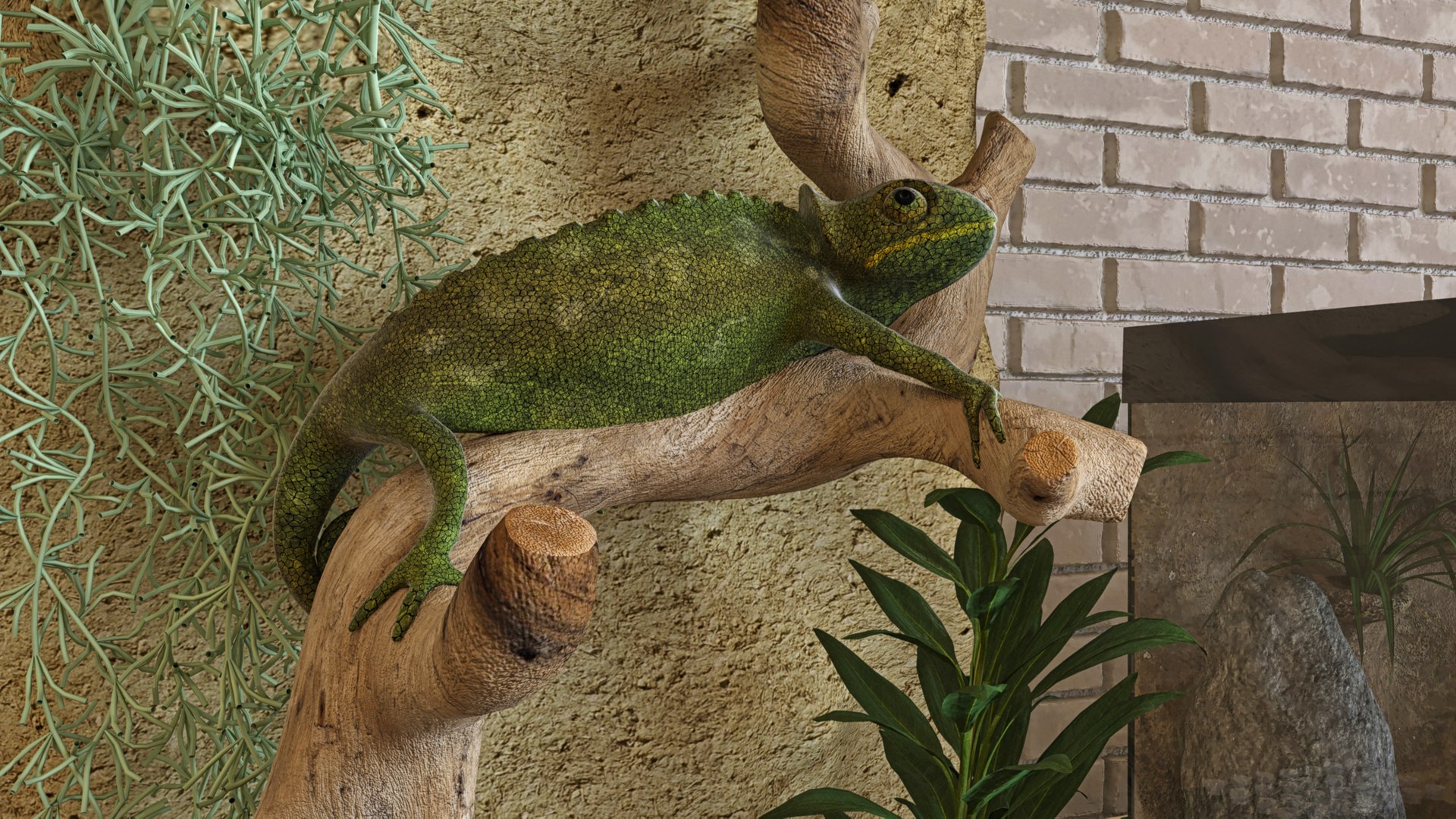 3D gecko lizard decoration model https://p.turbosquid.com/ts-thumb/Py/oQv55g/tnTuJDfy/2/jpg/1584208675/1920x1080/fit_q87/dbf41aa8d102d95d10e1993aa7ac8a09f2b0d989/2.jpg