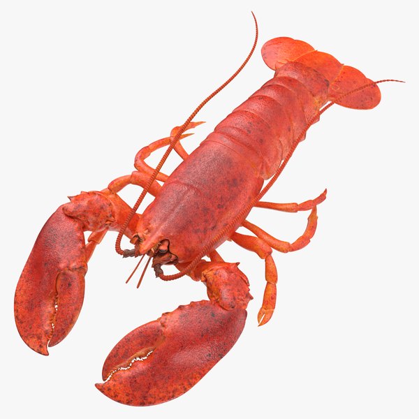 3D model Red Lobster