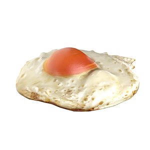Fried egg v1 model