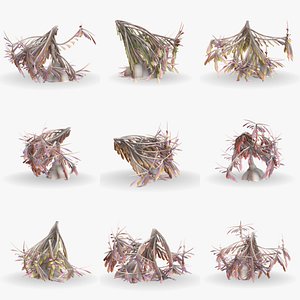Alien plants set 012 3D