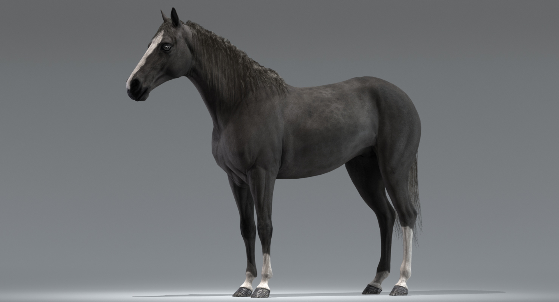 Horses model. Лошадь 3д модель. Модель коня. Лошадь 3d модель. Лошадь Blender.