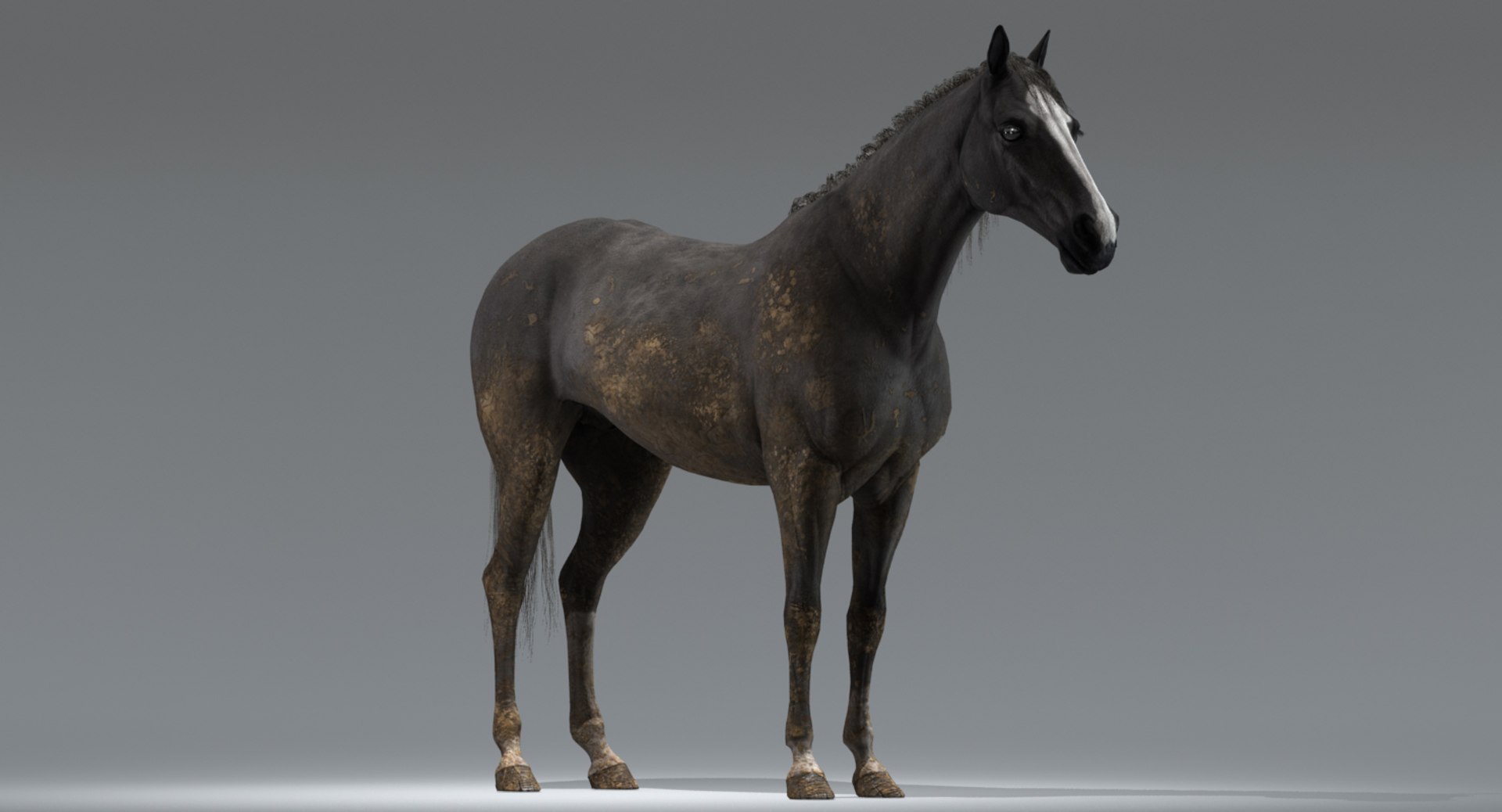 realistic horse rigged 3D model https://p.turbosquid.com/ts-thumb/Pz/25E31t/VGgoFma9/horse_black_static_06/jpg/1521794379/1920x1080/fit_q87/6b9a7eadefd5016beecd7144a58fb1d1d6c8eeeb/horse_black_static_06.jpg