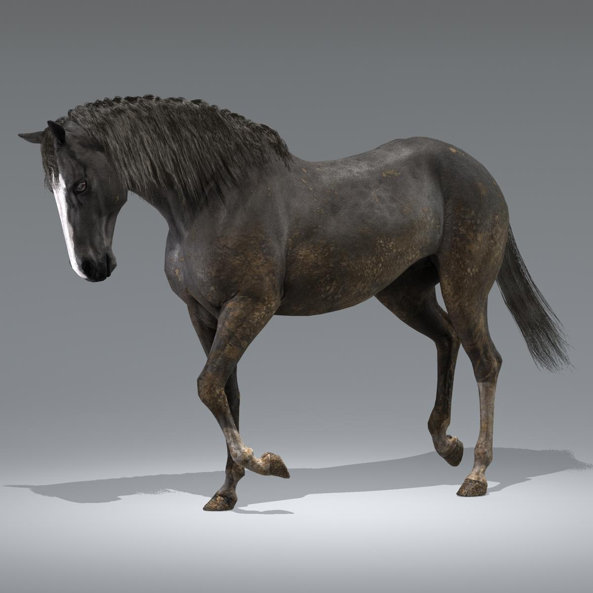 Realistic horse rigged 3D model - TurboSquid 1269247
