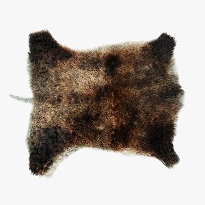 boar skin fur 3D model