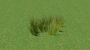 green grass patch 3ds free
