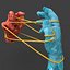 Hands tied up with a rope