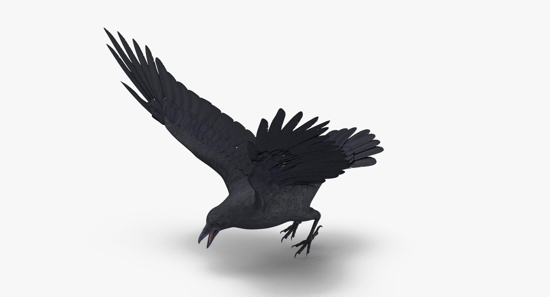 3d model crow 02 https://p.turbosquid.com/ts-thumb/Pz/sS0a1p/DjX1KLxT/0000/jpg/1487580096/1920x1080/turn_fit_q99/577b536d0122f436b9b8911e444254d10af5762b/0000-1.jpg