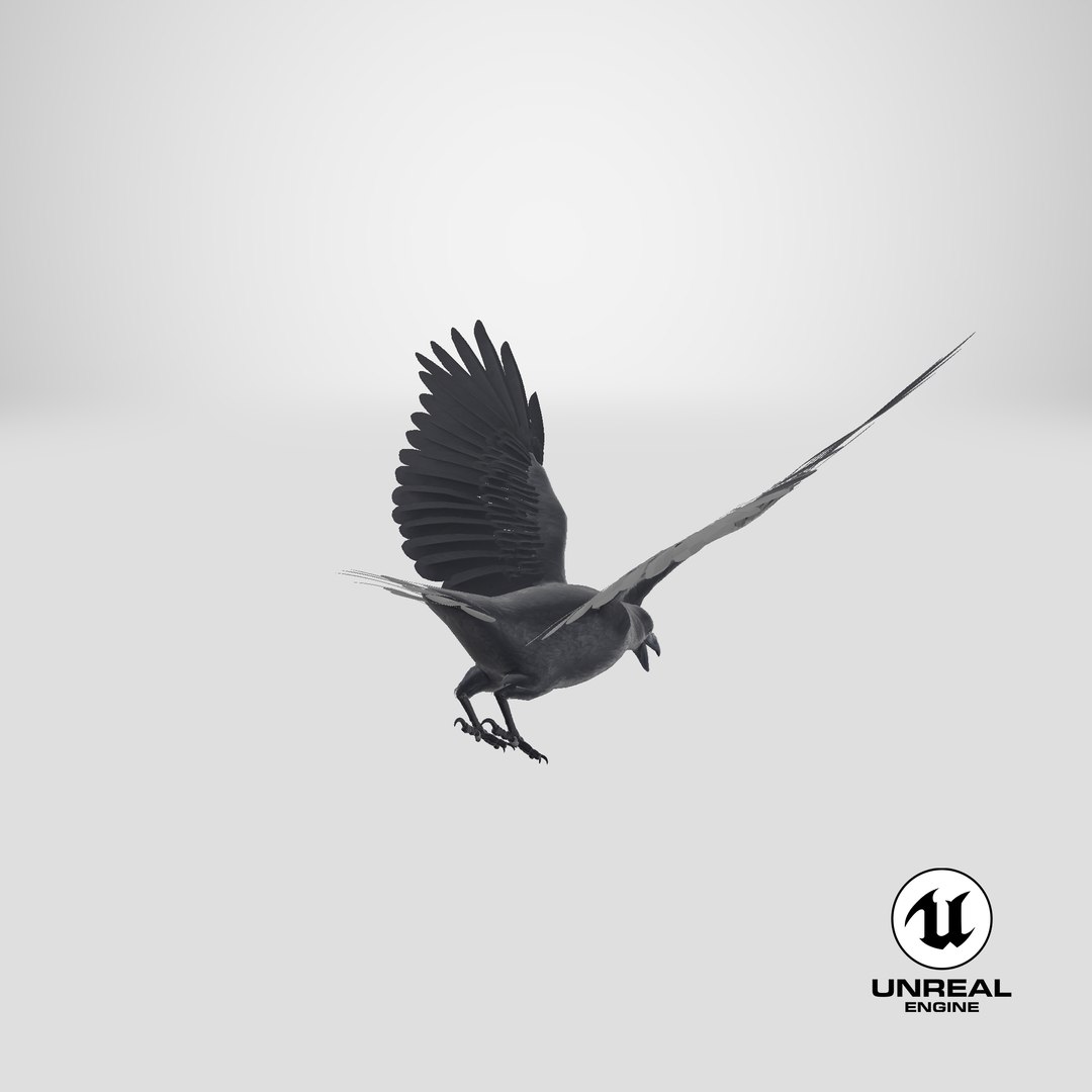 3d model crow 02 https://p.turbosquid.com/ts-thumb/Pz/sS0a1p/kV2HQevx/stemcell_unreal_render/png/1552317021/1920x1080/fit_q87/f621adc36f864875aa93e2103ee5da54fc21e057/stemcell_unreal_render.jpg
