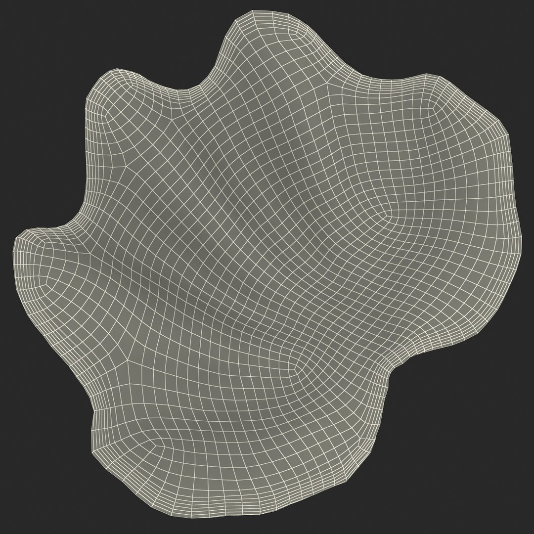 clam seashell d ds https://p.turbosquid.com/ts-thumb/Pz/t24PzB/8Op2ONYk/clamseashell3_23/jpg/1414164018/1920x1080/fit_q87/be51f8bb8260661ce36fcf7aa1eec37d7168d7be/clamseashell3_23.jpg