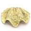 Clam Seashell 3