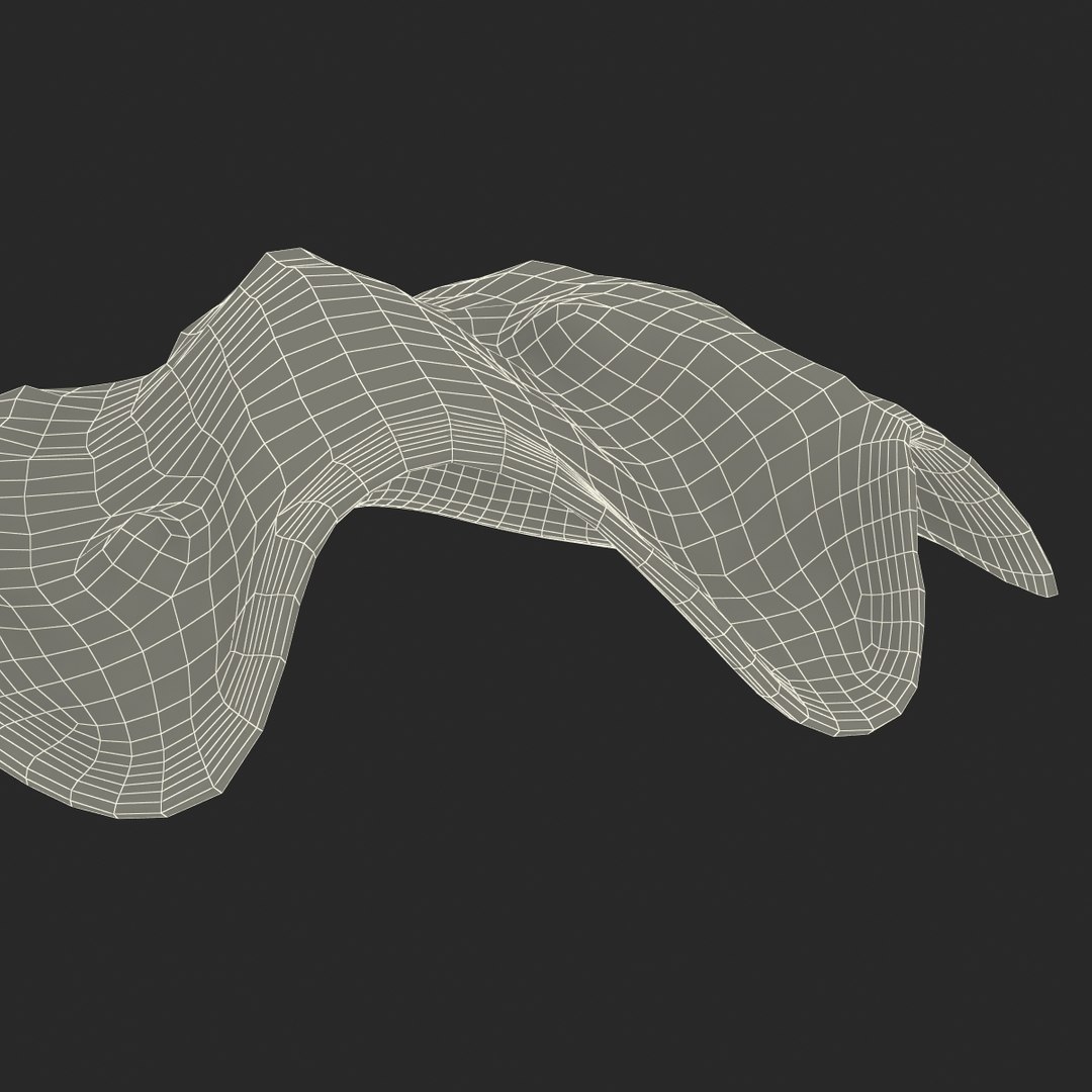 clam seashell d ds https://p.turbosquid.com/ts-thumb/Pz/t24PzB/MpgAHyr8/clamseashell3_27/jpg/1414163956/1920x1080/fit_q87/03b17a8f5c74ff2d3537ab84d7c3409c5860d7b5/clamseashell3_27.jpg