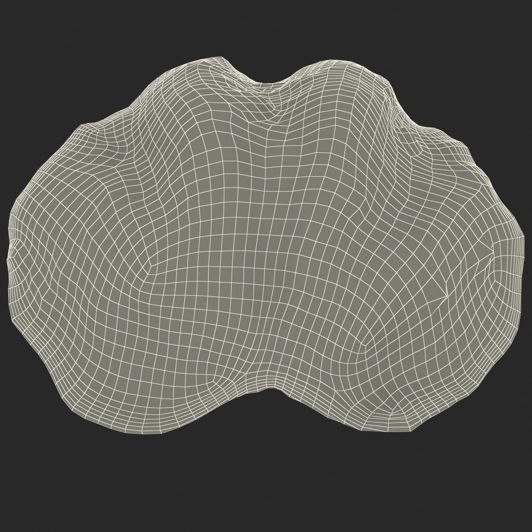 clam seashell d ds https://p.turbosquid.com/ts-thumb/Pz/t24PzB/YR93KmkX/clamseashell3_26/jpg/1414163953/1920x1080/fit_q87/d5ad3582562fae45d068d70f5294b38f8020a9fc/clamseashell3_26.jpg