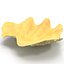 Clam Seashell 3
