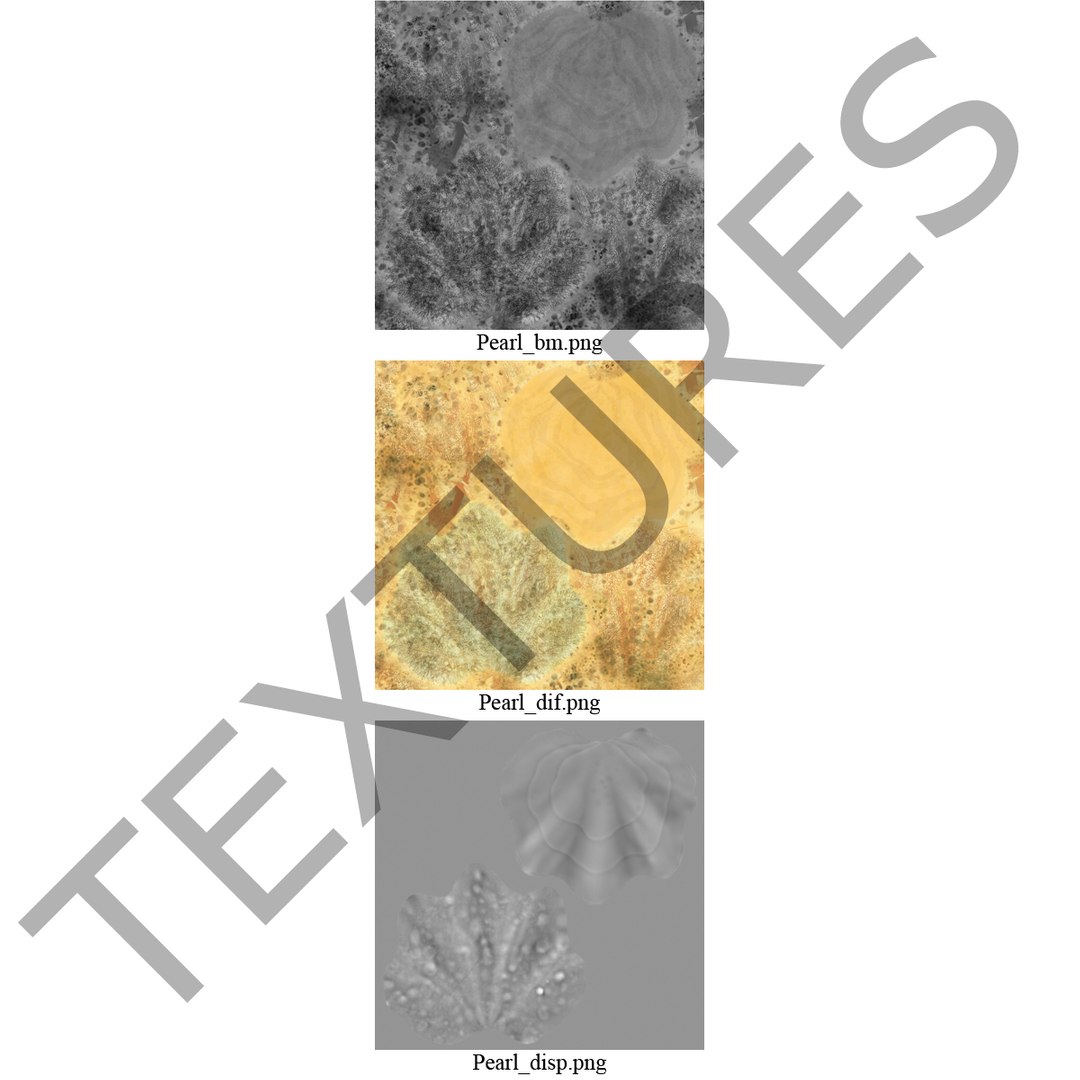 clam seashell d ds https://p.turbosquid.com/ts-thumb/Pz/t24PzB/eCEyLe1C/clamseashell3_29/jpg/1414163961/1920x1080/fit_q87/eac859154be35c37585126f08396f4e26aebe827/clamseashell3_29.jpg