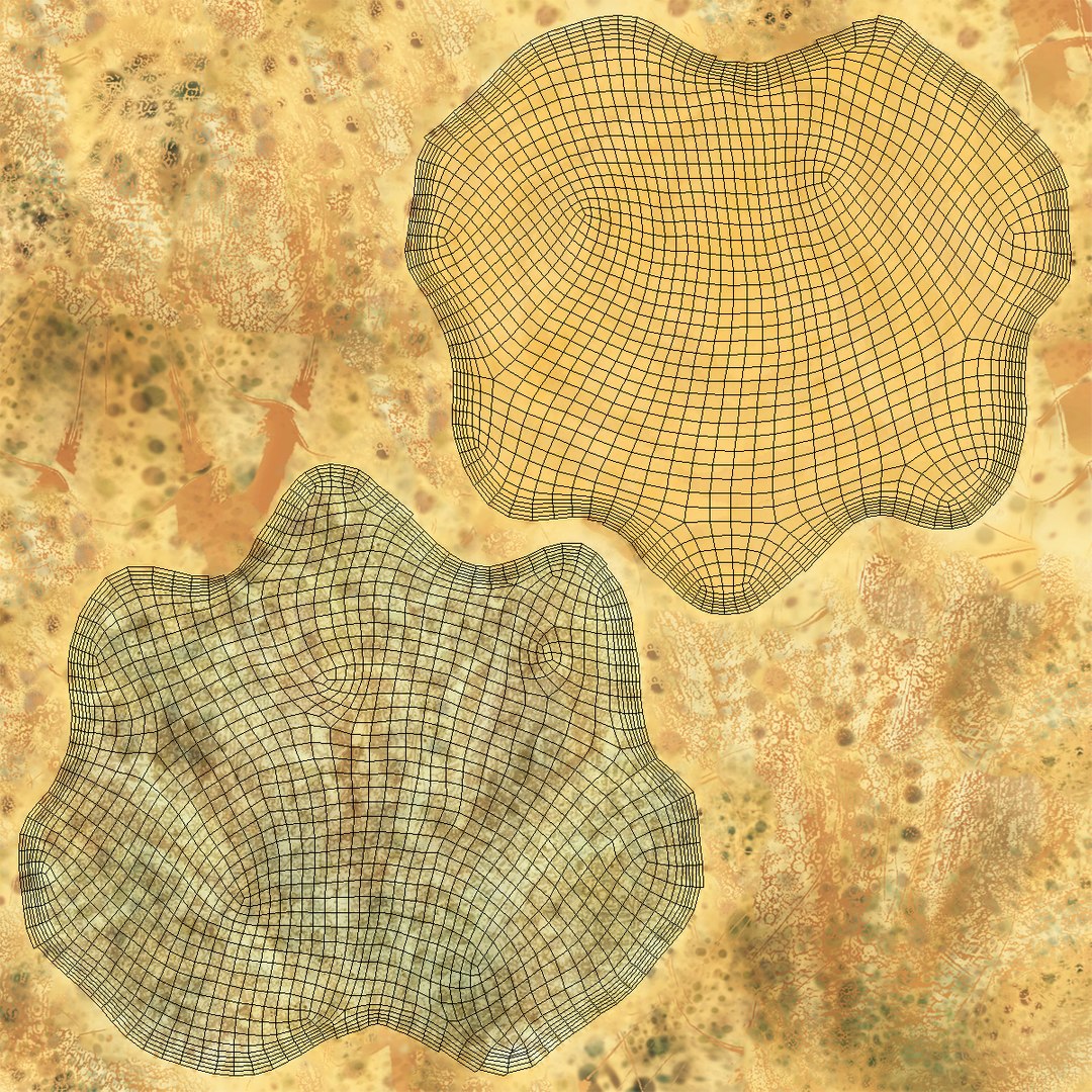 clam seashell d ds https://p.turbosquid.com/ts-thumb/Pz/t24PzB/i3ukKnnp/clamseashell3_30/jpg/1414164035/1920x1080/fit_q87/e96e6f3aa5555ad033f3498dddd5a875f719cb2d/clamseashell3_30.jpg