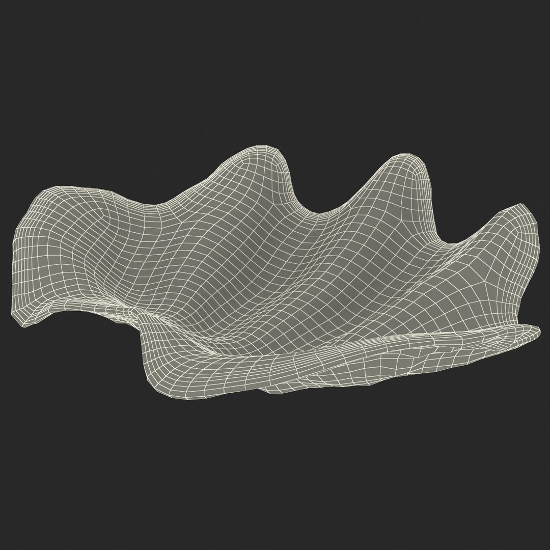 clam seashell d ds https://p.turbosquid.com/ts-thumb/Pz/t24PzB/jvM1dbuR/clamseashell3_21/jpg/1414164012/1920x1080/fit_q87/b0fca5393fb74cd85a0e003efa469657a95b002d/clamseashell3_21.jpg