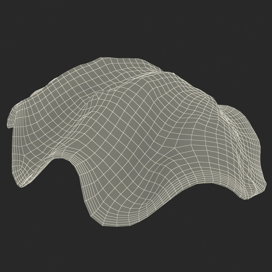 clam seashell d ds https://p.turbosquid.com/ts-thumb/Pz/t24PzB/l0L8h2tU/clamseashell3_25/jpg/1414164015/1920x1080/fit_q87/bcb16e05e67c76335eacbc557436f7b917579b14/clamseashell3_25.jpg