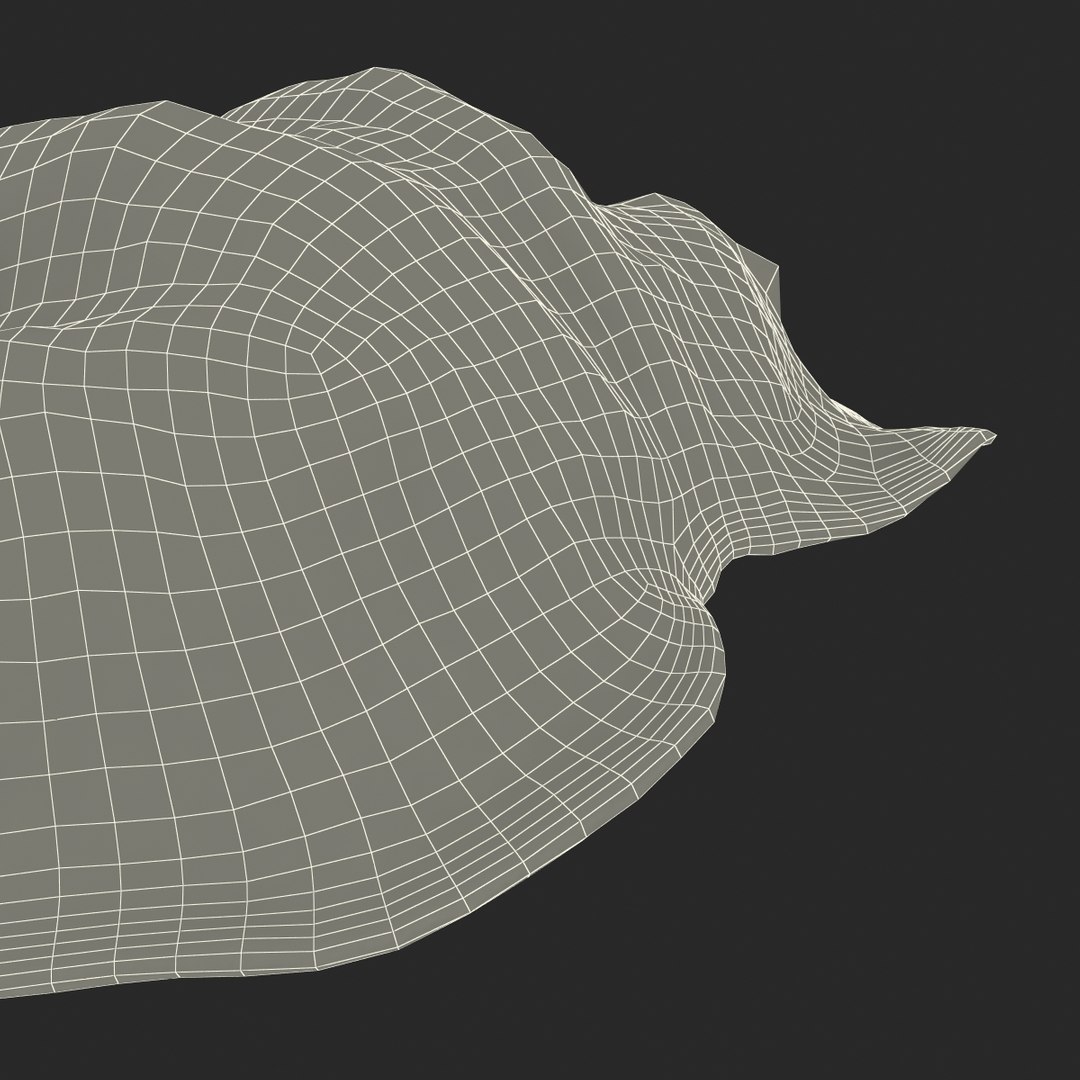 clam seashell d ds https://p.turbosquid.com/ts-thumb/Pz/t24PzB/ssw3JFJW/clamseashell3_28/jpg/1414164031/1920x1080/fit_q87/db53da39db9ac2aa077ea73ab953292e75718f35/clamseashell3_28.jpg