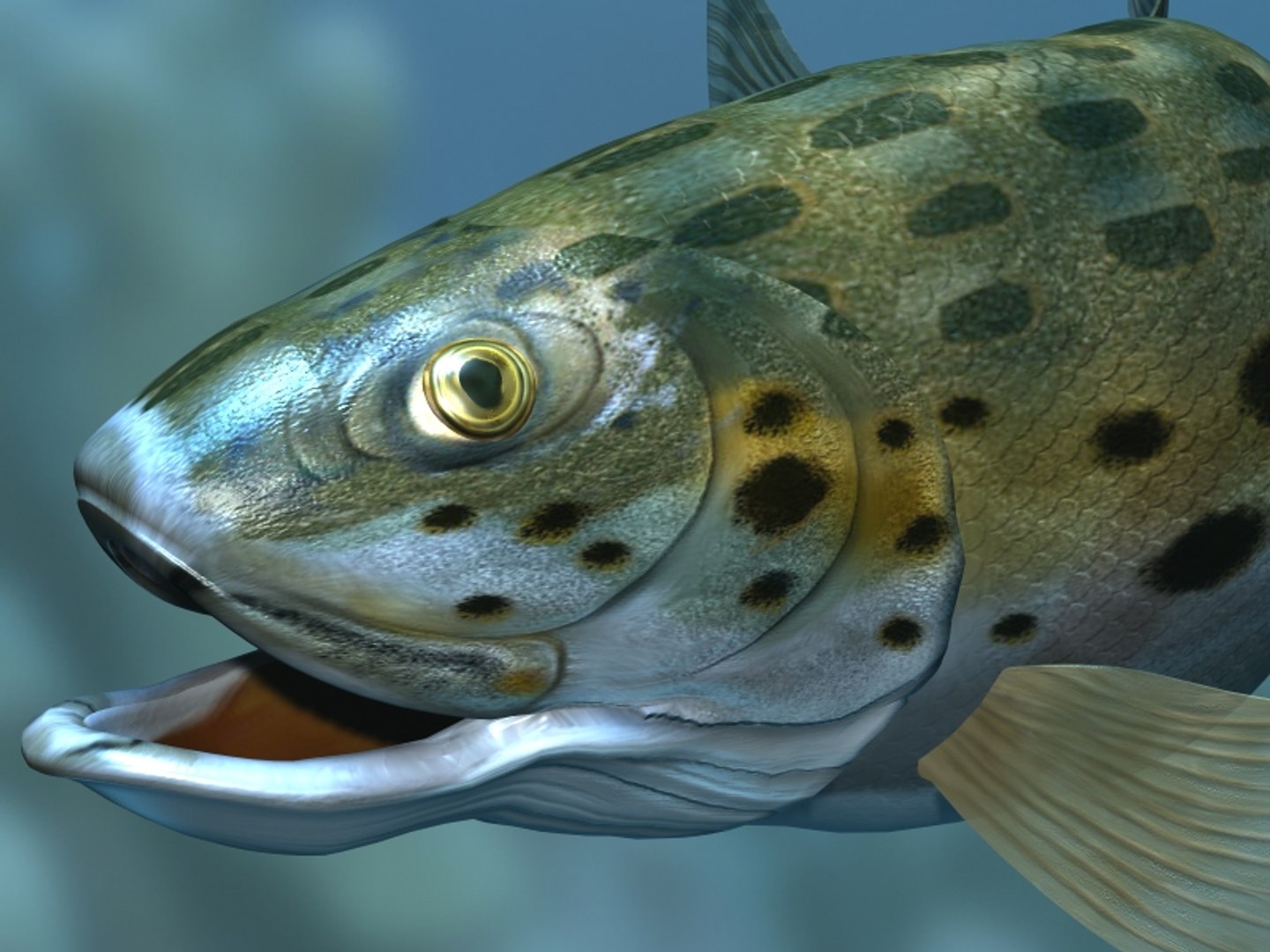 rainbow trout fish 3d max https://p.turbosquid.com/ts-thumb/Q0/0Q7F0a/EVKTJxoj/fishrender06/jpg/1105616335/1920x1080/fit_q87/5cd334077fb3c435e668febdd76ab4a046d60f20/fishrender06.jpg