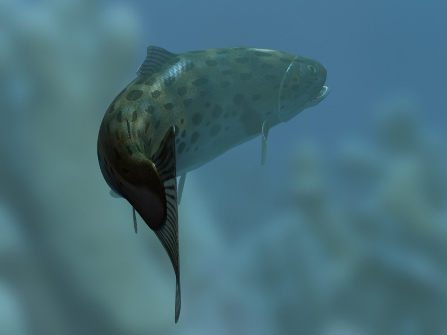 rainbow trout fish 3d max https://p.turbosquid.com/ts-thumb/Q0/0Q7F0a/SxX8p5fy/fishrender04/jpg/1105615404/1920x1080/fit_q87/8a827154308504ad1763377992e38a20fd10699f/fishrender04.jpg