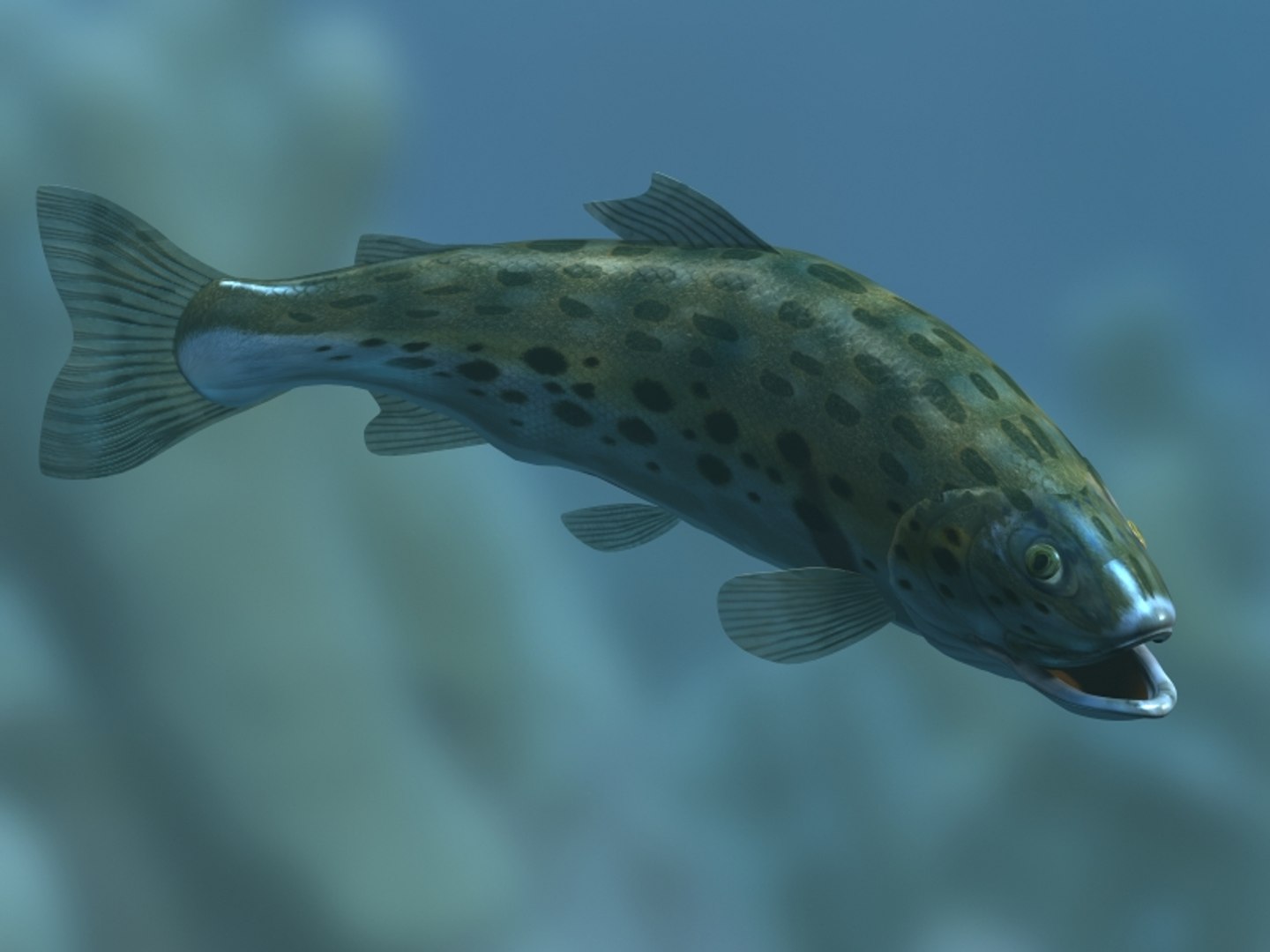 rainbow trout fish 3d max https://p.turbosquid.com/ts-thumb/Q0/0Q7F0a/bBj7mYol/fishrender02/jpg/1105615383/1920x1080/fit_q87/ef4aac9d5bb643b9b542376d21d510bf61fa141c/fishrender02.jpg