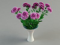 mums in vase