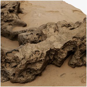 3D Ocean Cliffs 16K Ultra Scan 013