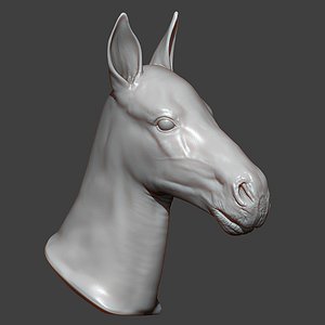 3D Horse Foal Head Highpoly Sculpt