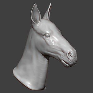 Horse Foal Head Highpoly Sculpt
