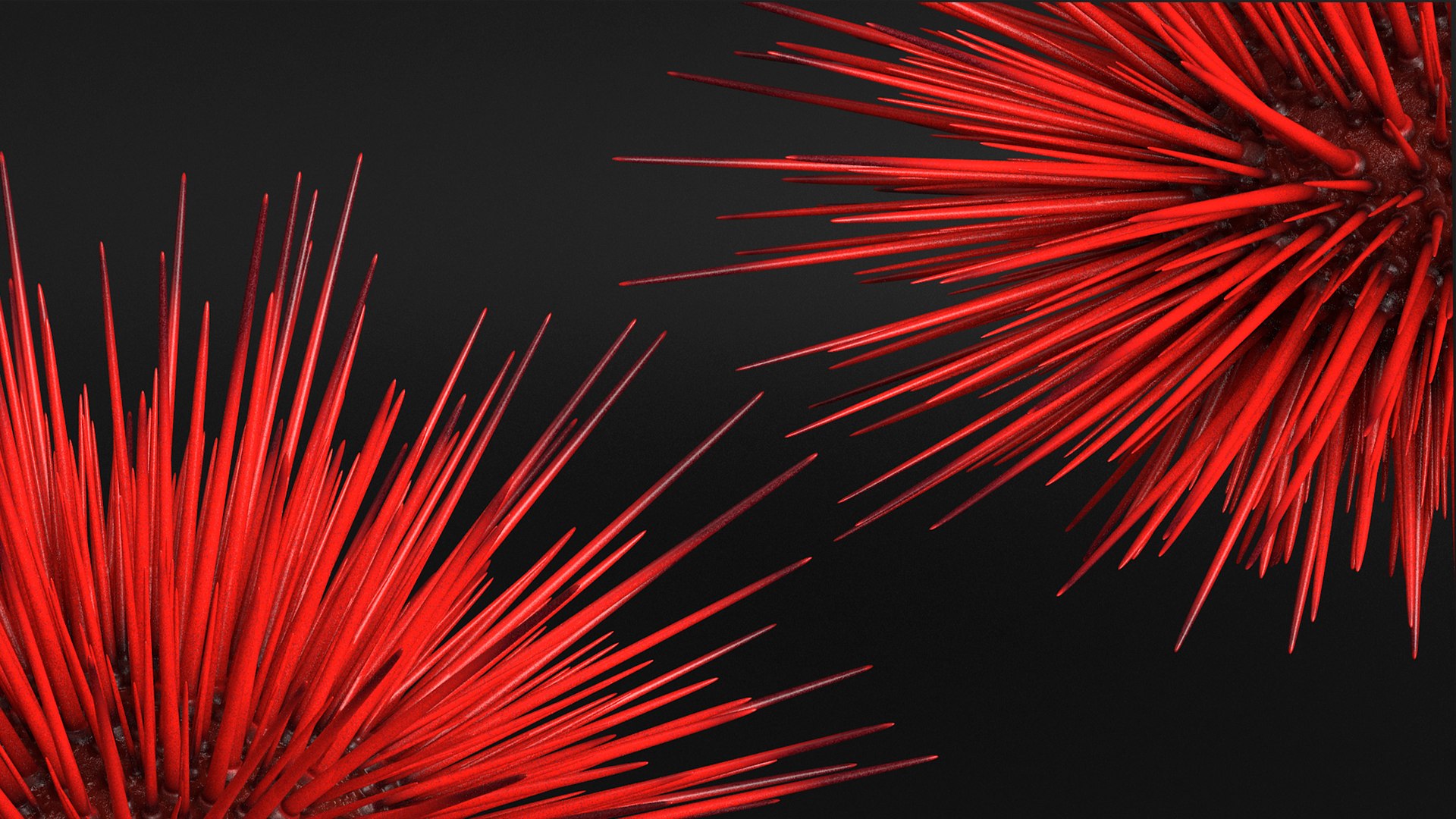 3D Red Sea Urchin - TurboSquid 2243129