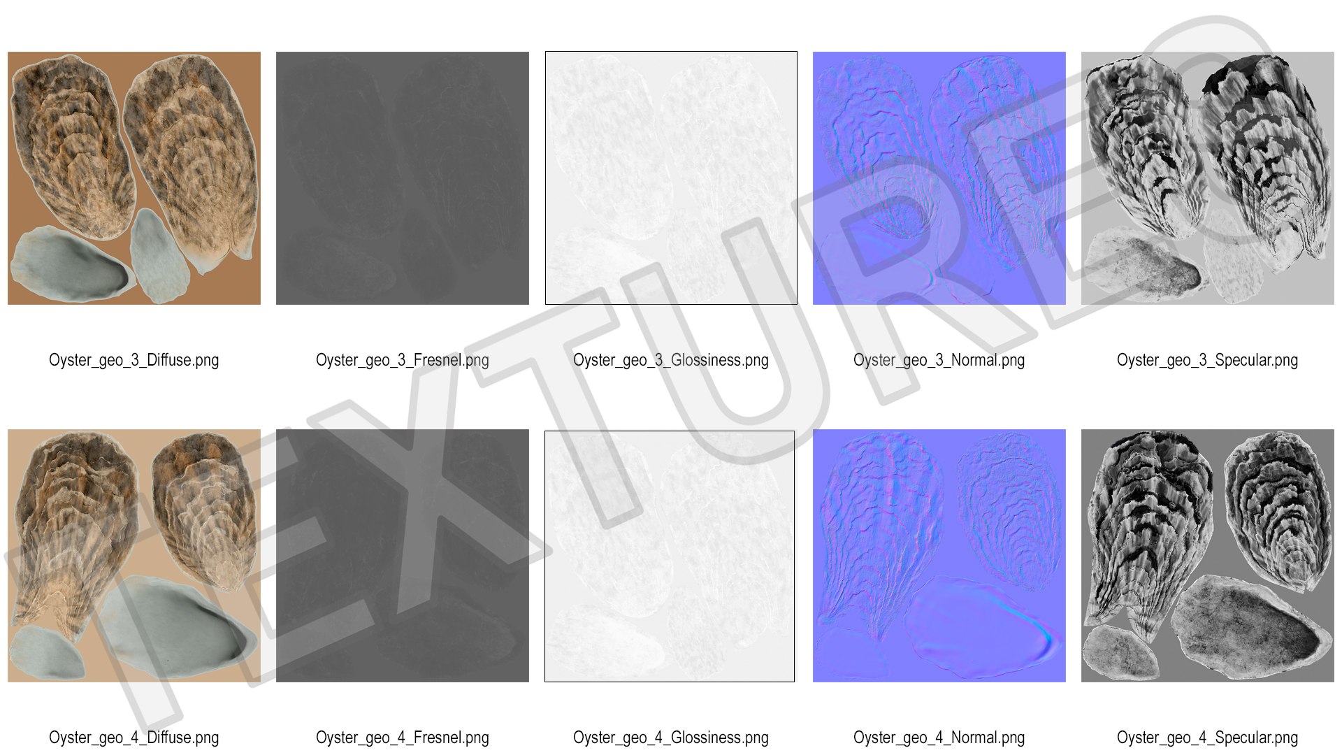 Oyster model https://p.turbosquid.com/ts-thumb/Q0/KzF75A/A3/oystervray3dmodel019/jpg/1723469078/1920x1080/fit_q87/4ef585e756534cca05a40da8f71c8f54d75e219f/oystervray3dmodel019.jpg