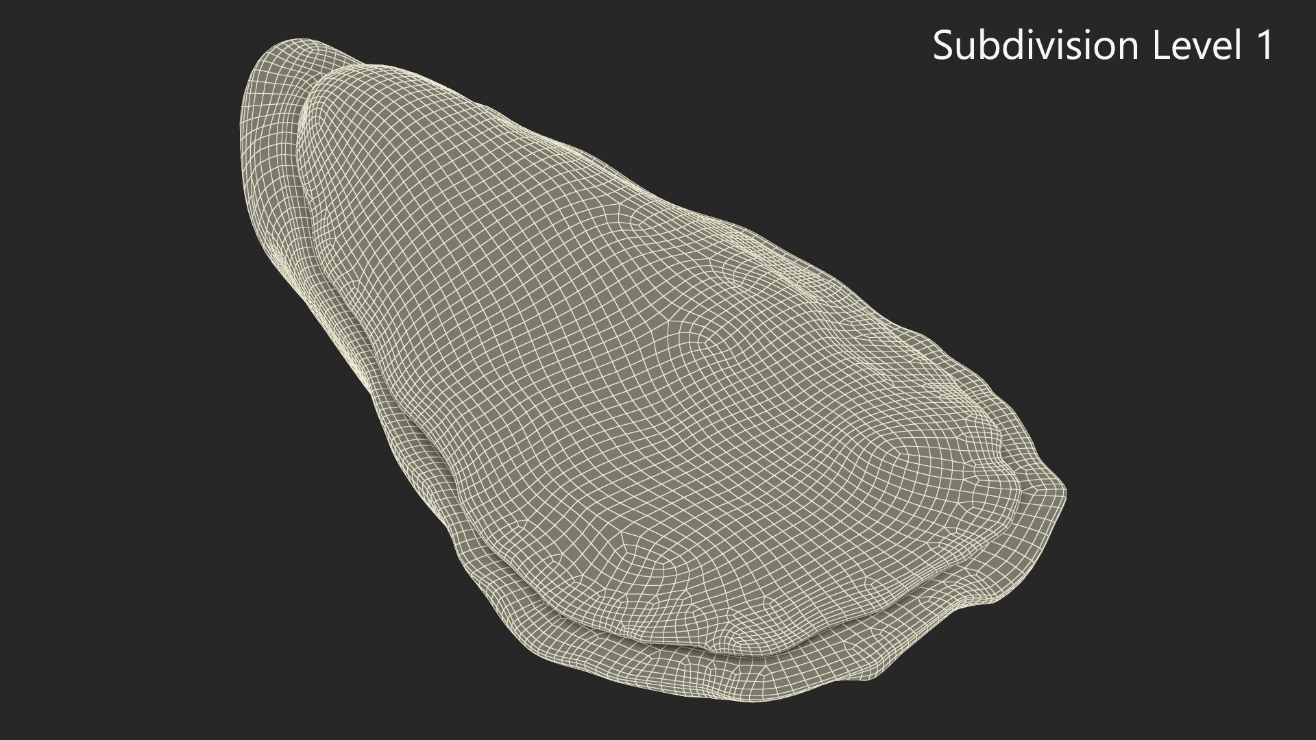 Oyster model https://p.turbosquid.com/ts-thumb/Q0/KzF75A/Cs/oystervray3dmodel017/jpg/1723469068/1920x1080/fit_q87/d5c6c2f00f4fddffcb4308afd3c821db3ecad6a5/oystervray3dmodel017.jpg