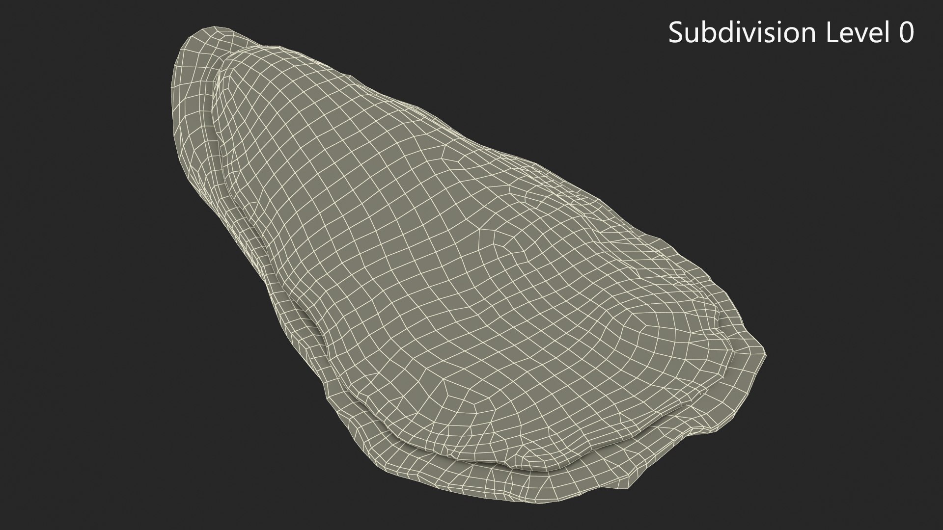 Oyster model https://p.turbosquid.com/ts-thumb/Q0/KzF75A/bs/oystervray3dmodel016/jpg/1723469064/1920x1080/fit_q87/77eb8627abc343d4f2962344e95f001a47789d2e/oystervray3dmodel016.jpg