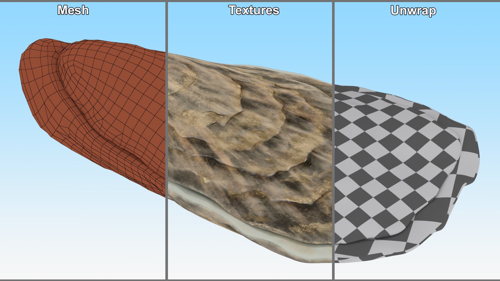 Oyster model https://p.turbosquid.com/ts-thumb/Q0/KzF75A/pY/oystervray3dmodel015/jpg/1723469060/1920x1080/fit_q87/3d7951750384d8ed1ba4c7e3db2468793cd3552e/oystervray3dmodel015.jpg